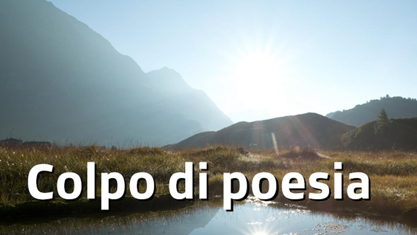 SHOWCASE_colpo_di_poesia.jpg